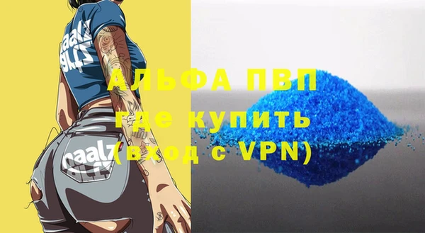 гашик Верея